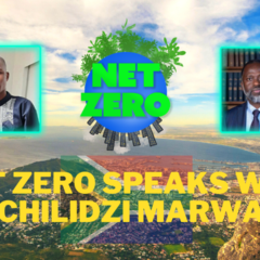 A Pesquisa Global para a Educação: Climate Activist Mphathesithe Mkhize Interviews Tshilidzi Marwala
