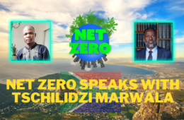 The Global Search for Education: Climate Activist Mphathesithe Mkhize Interviews Tshilidzi Marwala